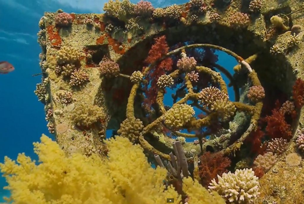 An artificial reef designed by BGU researchers was placed in the Gulf of Eilat in 2007 to reduce environmental pressure on the region’s natural reef. It is now teeming with life.