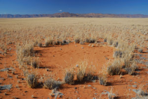 A single fairy circle in the desert