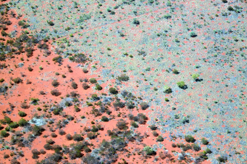 Fairy Circles in Australian Outback by Hezi Yizhaq