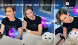 Image of Cuddling Furry Robots Can Reduce Pain