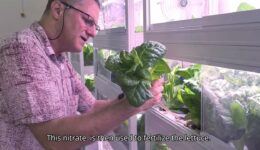 Image of Advanced indoor aquaponic system by Prof. Amit Gross